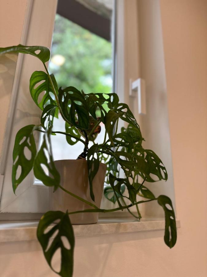 Olive View Apartment ブレラ エクステリア 写真