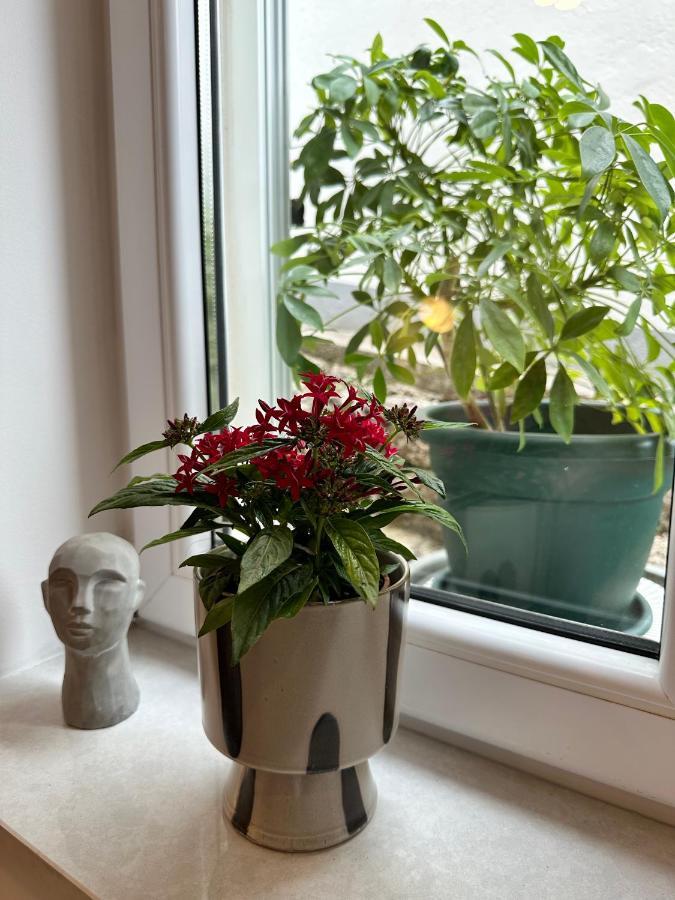 Olive View Apartment ブレラ エクステリア 写真